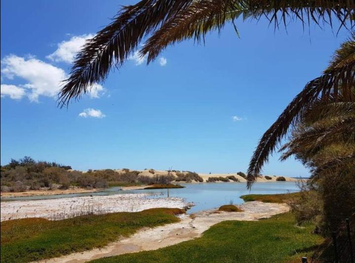 Tropical Con Piscina Y Aire Acondicionado Сasa de vacaciones Maspalomas (Gran Canaria)
